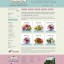 bunches and pots west london flower shop pink mint