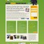 dog-kennels-website-design