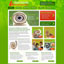 cheshire vets website design 1