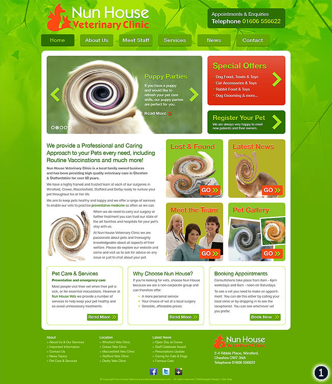 cheshire vets website design 1 green background